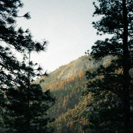 Sürdürülebilirlik